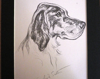 Impression de chien setter anglais vintage de 1937, portrait de Lucy Dawson « Mac »