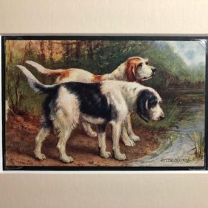 Postal vintage OTTERHOUNDS Raphael Tuck & Sons Regalo de cumpleaños de Navidad para amantes de los perros Oilette Artículo de colección Postal de Tuck con cita previa