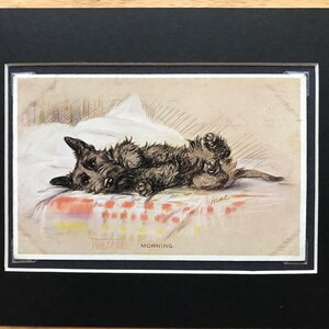 Photo de carte postale vintage Lucy Dawson Mac Valentine Tailwagger terrier écossais des années 1930 Scottie Morning No.2484 cadeau d'anniversaire Article de collection