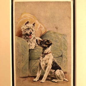 MABEL GEAR Westie Jack Russell Terrier, cachorro, série de cartões postais vintage assinados para namorados nº 3893, presente de aniversário, item de colecionador