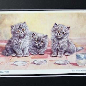 MABEL GEAR Gatto Persiano blu Gattino Salmone serie n. 5073 Ora del tè Cartolina vintage firmata montata Regalo di Natale Compleanno Oggetto da collezione