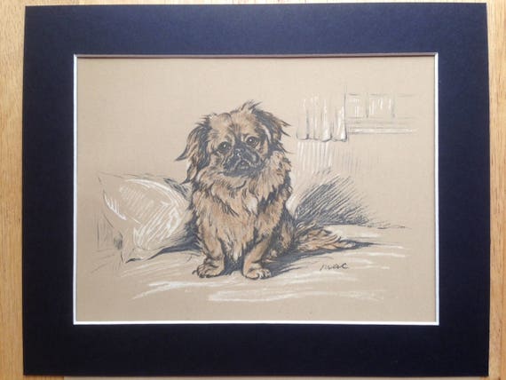 PEKINGESE SLEEPING DOG LOVELY PRINT MOUNTED READY TO FRAME