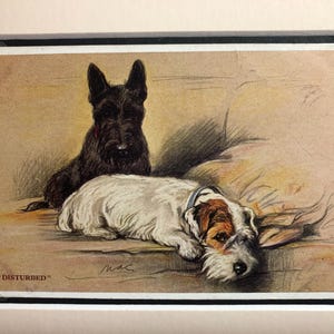 Carte postale vintage Lucy Dawson Mac de la Saint-Valentin, Sealyham Scottish Scottie Terrier Unique Noël anniversaire Thanksgiving No.2442