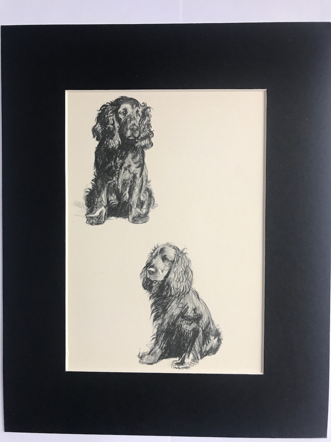 SPANIEL DOG Sketches Cecil Aldin 1939 Mounted Dog Plate Print Unique ...