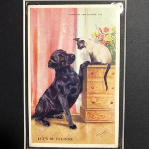 MABEL GEAR LABRADOR Cartolina d'epoca siamese Serie gattini n. 5335 Facciamo amicizia Vintage firmato Valentine & sons Ltd regalo di Natale