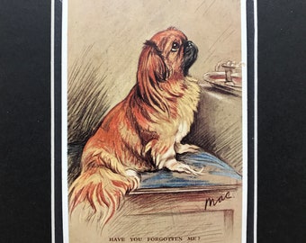 May include: Vintage postcard featuring a Pekingese dog with long, reddish-brown fur, seated on a blue cushion. The dog gazes wistfully towards a window. The text "Have you forgotten me?" is printed below the image.