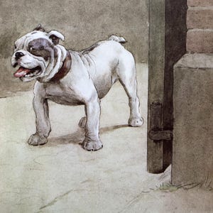 BULLDOG Antique 1913 Cecil Aldin dog plate print Christmas gift Thanksgiving, Collector&#39;s item, Bulldog very happy on greeting