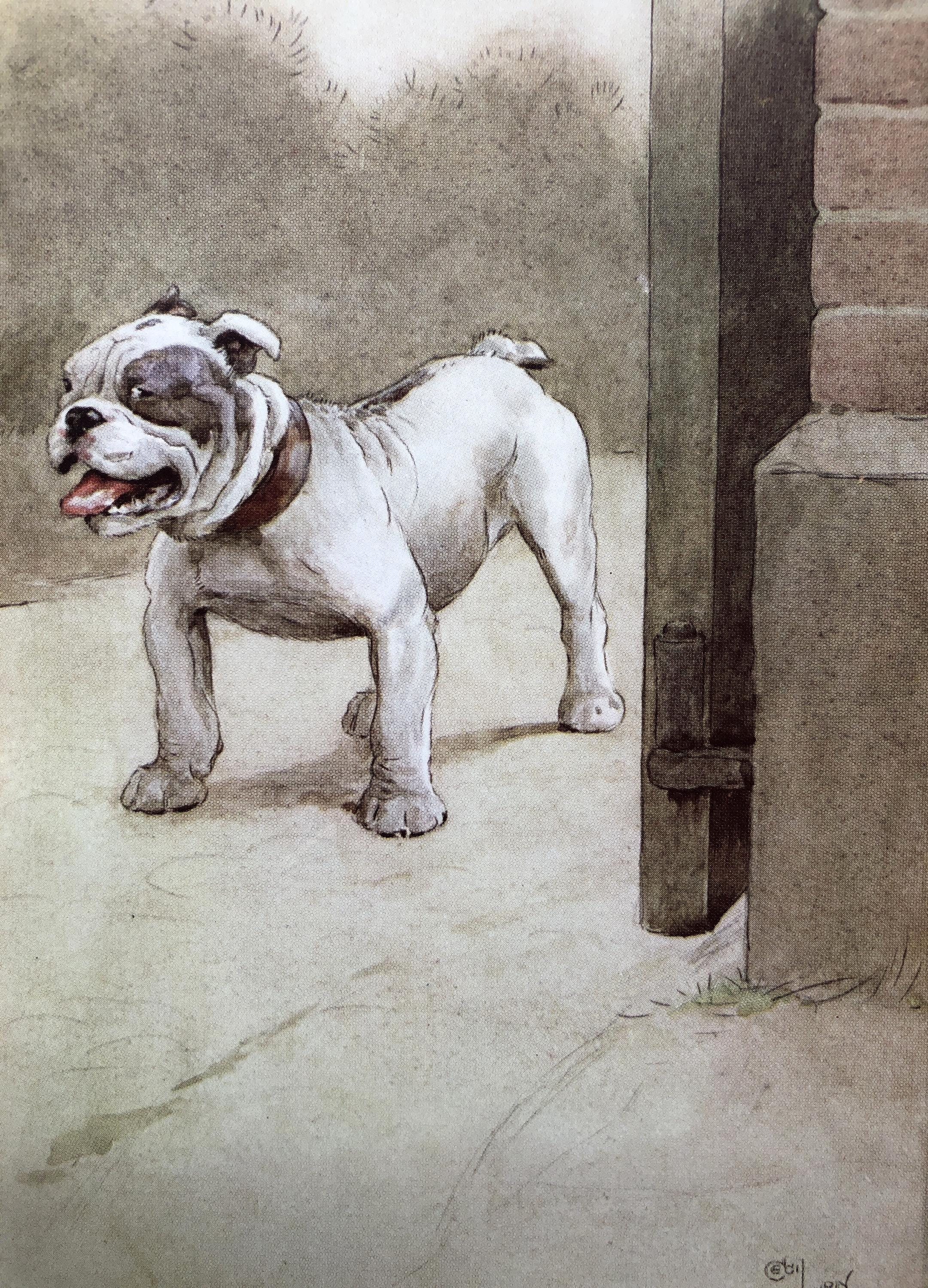 BLACK DOG 中古　美品　帯付き BULLDOG Antique 1913 Cecil Aldin Dog Plate Print Christmas Gift