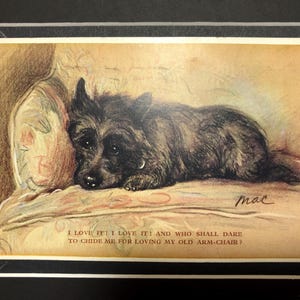 CAIRN DOG VALENTINE Tailwagger Vintage Lucy Dawson Mac cartão postal Terrier Natal Aniversário Ação de Graças No.2386 Item de colecionador