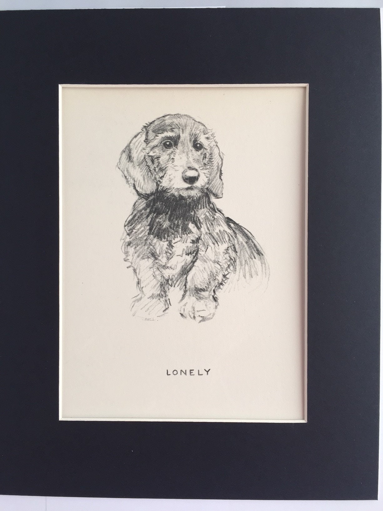 FOXHOUND Welpe Hund VINTAGE K F Barker 1937 Jagdhunde montiert Hund Platte  Drucke Einzigartige Geburtstag Weihnachten Jubiläum Hundeliebhaber Geschenk  - Etsy Österreich, image size:1224x1632