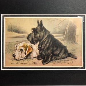 LUCY DAWSON MAC, terrier écossais des années 30