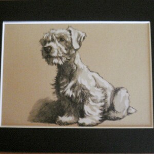 Sealyham TERRIER DOG Vintage montato 1935 Cecil Aldin Sealyham terrier stampa piastra cane Unico compleanno di Natale Ringraziamento regalo raro
