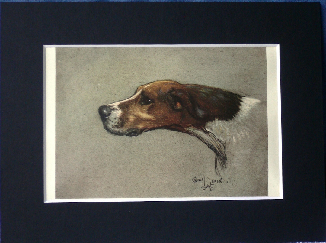 HUNT HOUND DOG Signed Mounted 1928 Cecil Aldin Hunting Hound Dog Plate ...