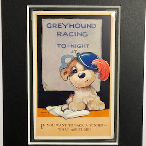 Carte postale drôle de chien, courses de lévriers, art de bande dessinée de George Willis, série Chummy de la Saint-Valentin n° 3753 montée, objet de collection Noël anniversaire