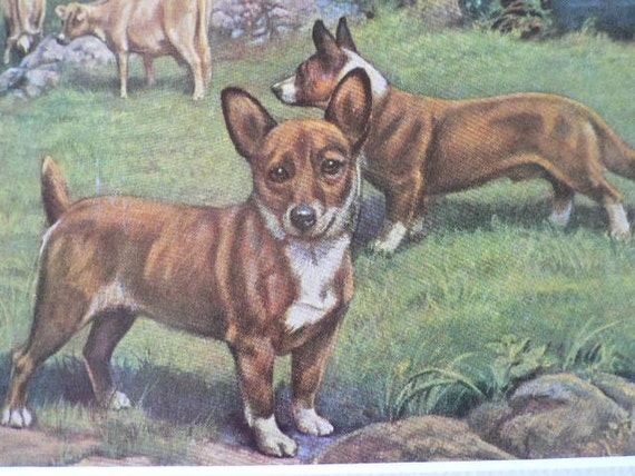 Vintage 1958 Welsh Corgi Dog Print, Mounted Bookplate - Etsy