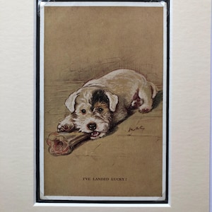 Postal vintage de Lucy Dawson Mac con el dibujo de un terrier SEALYHAM de Albert Bone. Regalo único de Navidad, cumpleaños y Acción de Gracias n.º 2161.