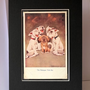 vintage Studdy carte postale Pekingese drôle chien personnage 1920S George Studdy R.P.S série No. 1034 carte postale photo Unique Collector's item