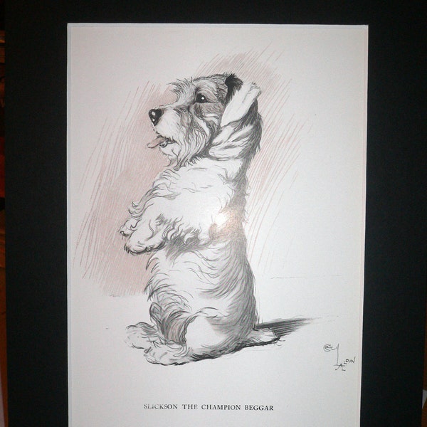 SEALYHAM TERRIER DOG Signed mounted 1930 Cecil Aldin Slickson terrier dog plate/print Unique Christmas Thanksgiving birthday gift