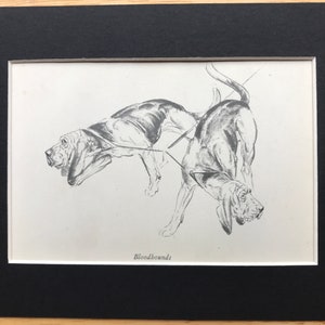 BLOODHOUND dogs Vintage Mounted  1940 Diana Thorne dog print book plate Unique Birthday Christmas Thanksgiving GIFT
