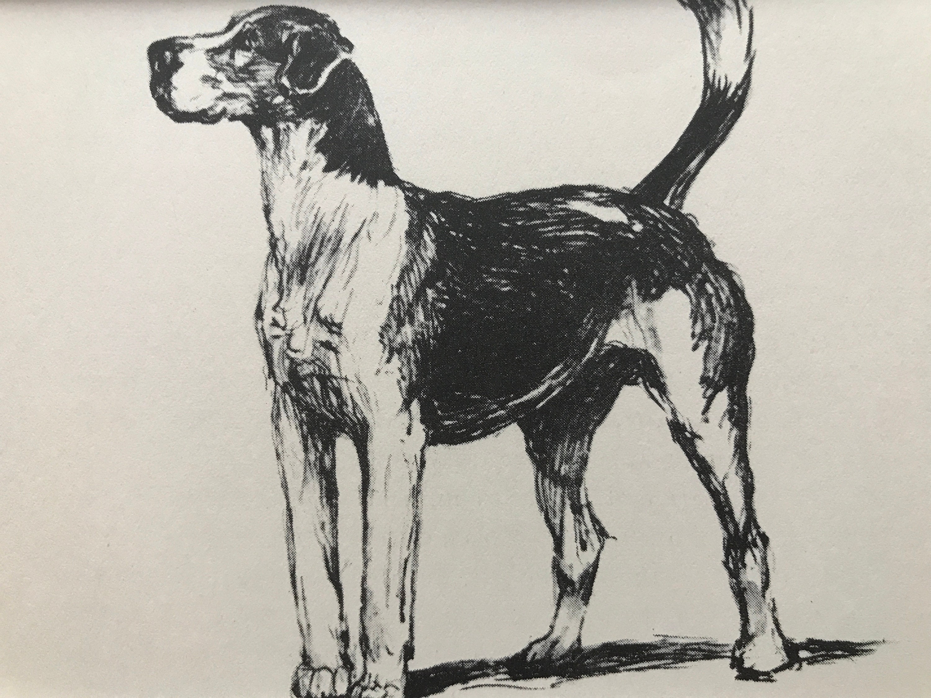 Cecil Aldin 1933 Horse Racing Hunting Peterborough Hound Fox