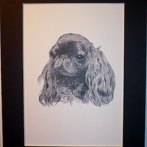 1935 KING CHARLES SPANIEL Hund Vintage original C Francis Wardle Exlibris Hundedruck Einzigartiges Weihnachten Thanksgiving Geburtstag seltenes Geschenk