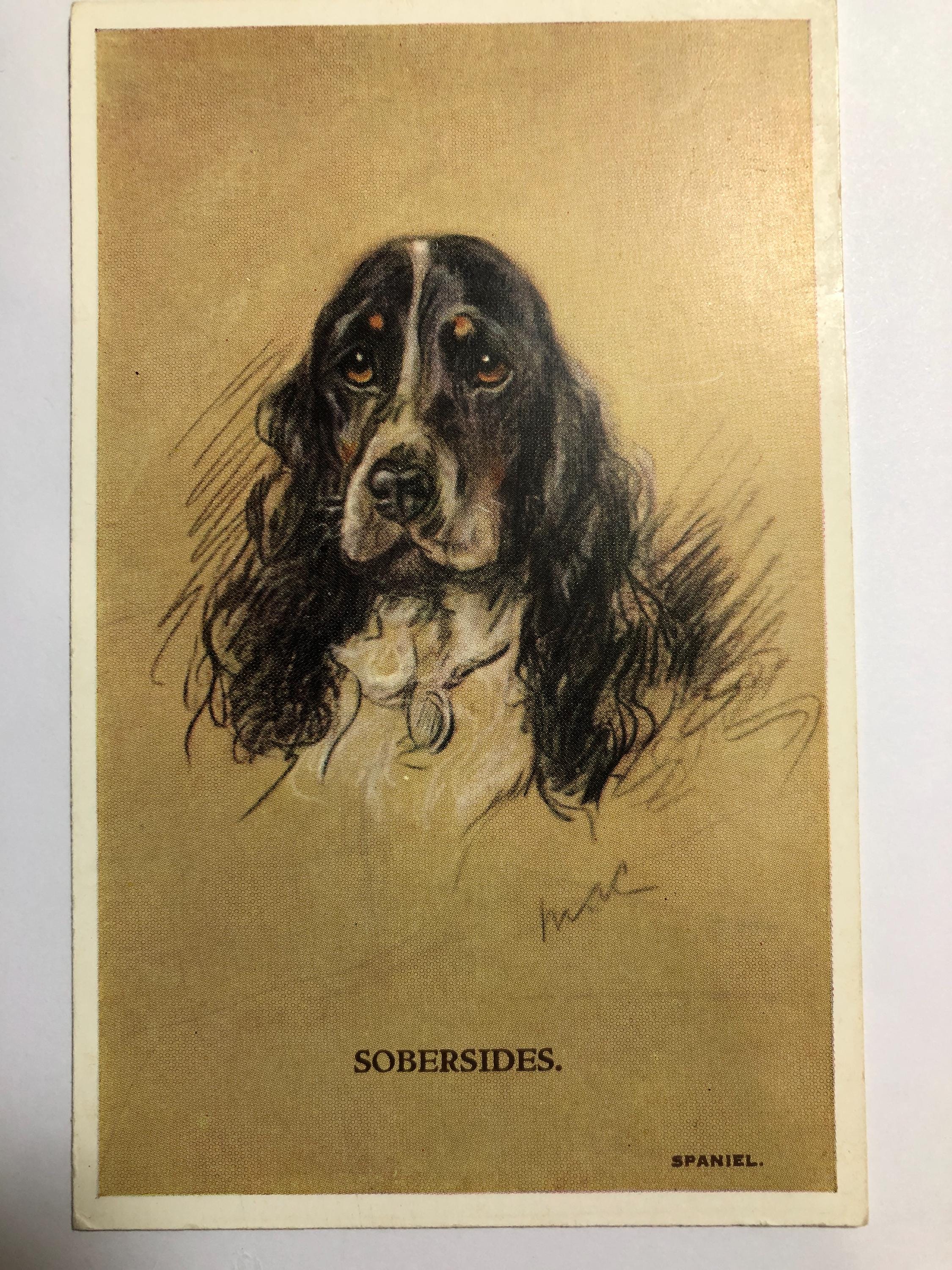 1930 Cocker Spaniel VALENTINE TAILWAGGER Vintage Lucy Dawson Mac No ...