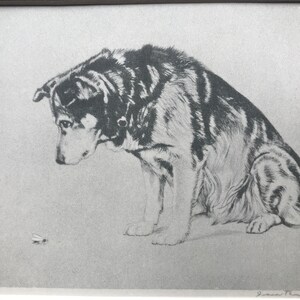 BEAU HUSKIE DOG signed print plate  Vintage Mounted 1932 Diana Thorne birthday christmas thanksgiving unique gift