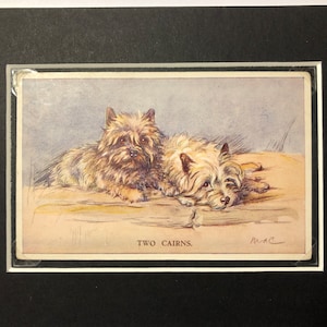 CAIRN DOG VALENTINE Tailwagger Vintage Lucy Dawson Mac cartão postal Terrier presente exclusivo de Natal, aniversário e Ação de Graças nº 1034