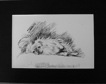 Pekingese Vintage Mounted 1936 'Mac' Lucy Dawson  Pekinese dog plate print in chair Unique gift Christmas, Birthday, Thanksgiving gift