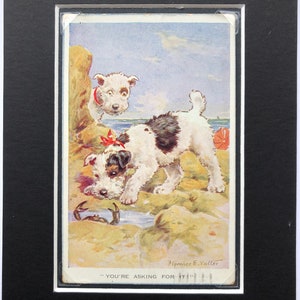 FLORENCE E VALTER Perro terrier de pelo de alambre Vintage firmado Valentine &sons No.2204 postal montada regalo Cumpleaños Cangrejo en la playa Junto al mar