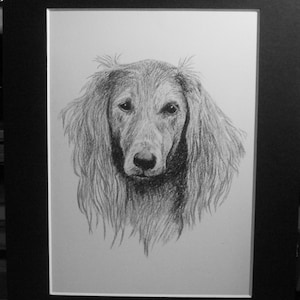 1935 C Francis Wardle Vintage original mounted bookplate print of SALUKI dog Christmas, birthday, Thanksgiving dog lover gift