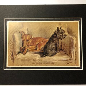 VALENTINE TAILWAGGER Greyhound Cairn Terrier Vintage Lucy Dawson Mac cartolina foto Natale Compleanno Ringraziamento regalo No.374