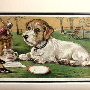 Postal vintage de Lucy Dawson Mac n.° 3370 con imagen de SEALYHAM Terrier, té para dos, regalo de cumpleaños, artículo raro de coleccionista.