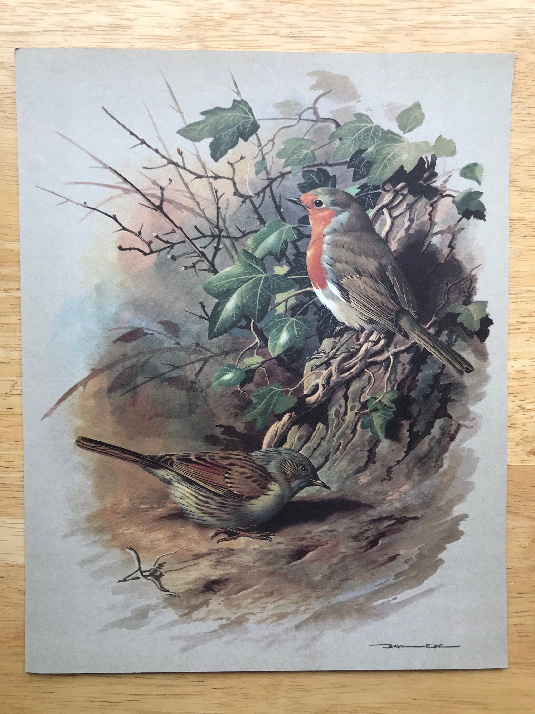 【希少品】スポード ★Garden Birds★Robin 飾り皿　⑥ Amazon.com: Spoontiques - Garden Décor - Bright Birds