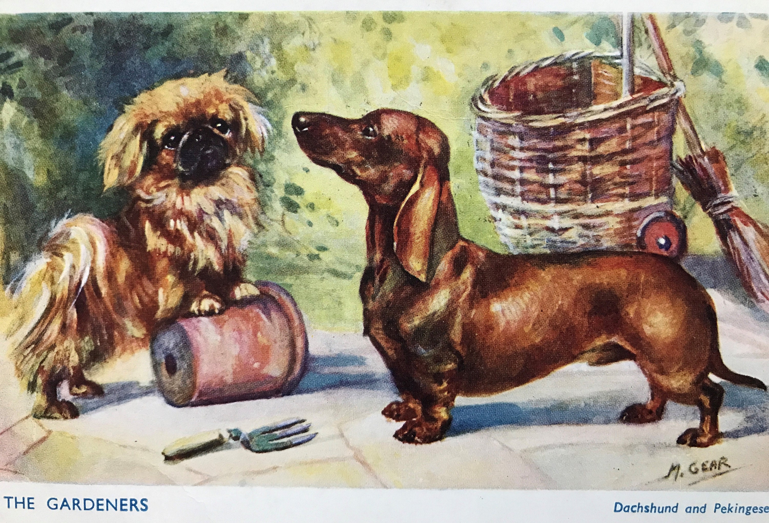 MABEL GEAR Pekingese Dachshund dog Vintage Salmon series post card mounted picture gift The Gardeners No.5080 Christmas Birthday