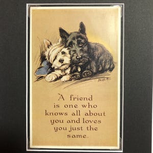 Photo de carte postale vintage Lucy Dawson Mac écossais Westie Terrier de Saint-Valentin, Scottie No. 2328, anniversaire de Noël, pièce de collection