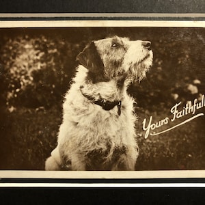 Década de 1930 Vintage Wire haired terrier perro postal montada Real Fotografía regalo Tuyo fielmente saludos Cumpleaños Navidad Regalo coleccionable