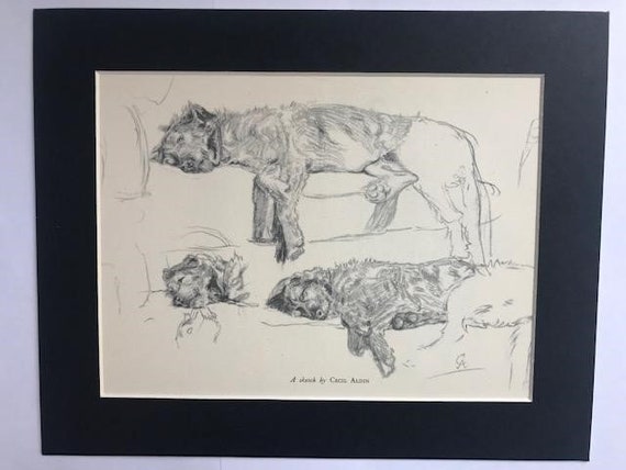 Irish Wolfhound Dog Cecil Aldin 1930's  ~ LARGE New Blank Note Cards 