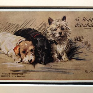 Photo de carte postale vintage Lucy Dawson Mac de la Saint-Valentin, Sealyham Scottish CAIRN Terrier, Noël anniversaire n° 1992