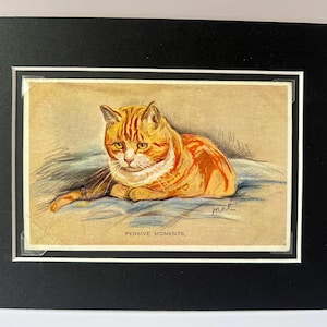 May include: A matted print featuring an illustration of an orange tabby cat resting on a blue surface. The cat has white markings on its chest and face. The text PENSIVE MOMENTS is printed in black at the bottom center of the illustration.