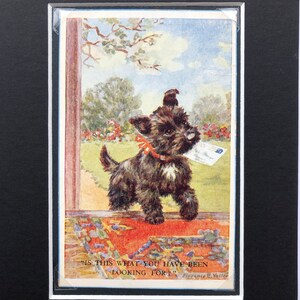 FLORENCE E VALTER Scottish terrier Scottie perro Vintage firmado Valentine &sons serie No.1029 postal montada regalo Cumpleaños Postie perro