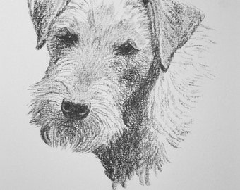 1935 LAKELAND TERRIER  Dog Vintage original C Francis Wardle bookplate dog print Unique Christmas Thanksgiving birthday rare gift