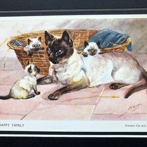 Serie de gatitos siameses MABEL GEAR n.º 5070 Una postal vintage de Salmon Ltd firmada y montada con una foto de regalo de cumpleaños de Navidad.