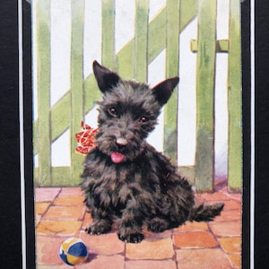 FLORENCE E VALTER Scottish terrier Scottie dog Vintage firmado Valentine & sons series No.1721 tarjeta postal montada regalo Cumpleaños