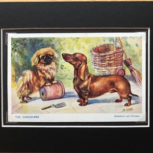 MABEL GEAR Pekingese Dachshund dog Vintage Salmon series post card mounted picture gift The Gardeners No.5080 Christmas Birthday