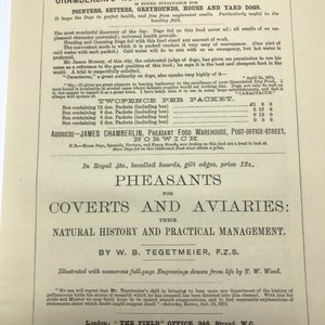 Antique AD 1878 Dog food James Chamberlain Piccadilly Pheasants Works published Strand London dog advert COLLECTORS ITEM Christmas Birthday