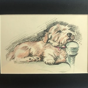 SEALYHAM TERRIER DOG hand coloured Vintage Mounted 1936 'Mac' Lucy Dawson Nap time Sealyham terrier dog plate/print Gift Christmas, Birthday