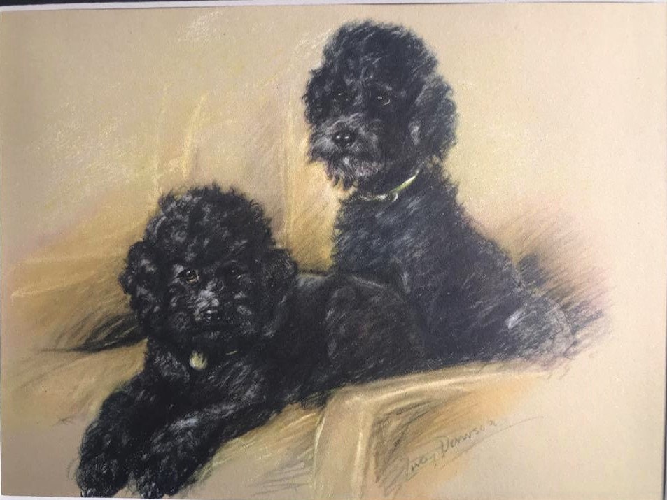 Vintage 1946 Lucy Dawson Black Poodle Print, Matted Dog Art - Etsy