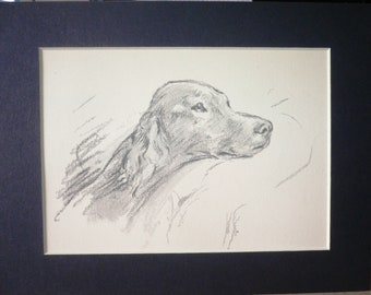 Impression de chien Setter irlandais Lucy Dawson, vintage, 1939 - Ex-libris avec passe-partout