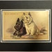 see more listings in the Terriers section